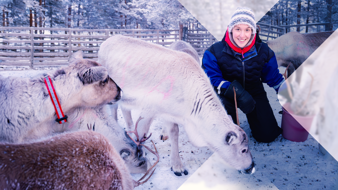 faszination-erde-suche-nach-dem-glueck-100~1280×720 TerraX - Finnland